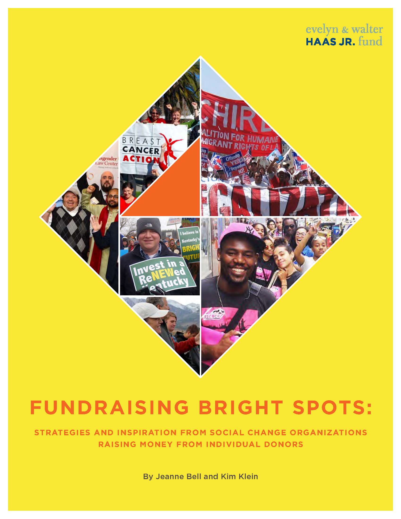 Fundraising Bright Spots Cover