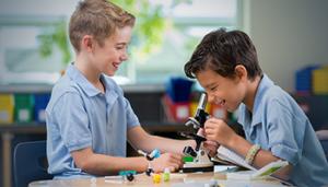 School Memberships