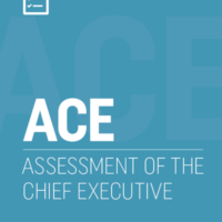 assessment chief executive